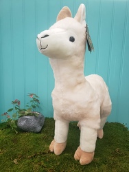 Llama Plush From Rogue River Florist, Grant's Pass Flower Delivery